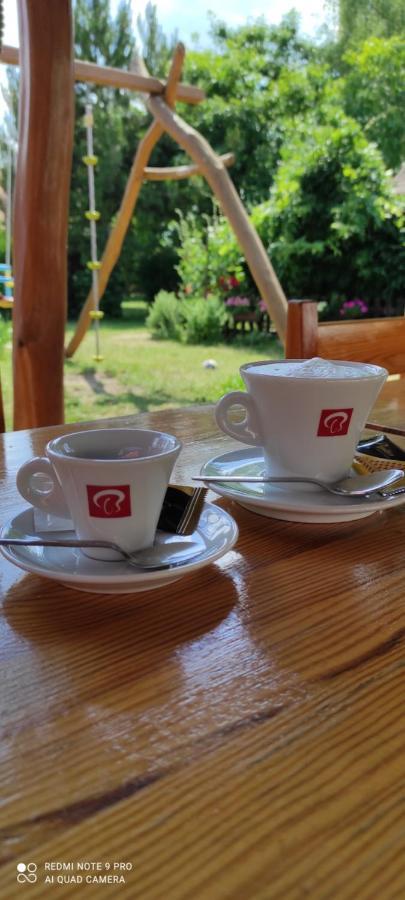 Rybarska Basta Vikletice - Nechranice Villa Kwon Dış mekan fotoğraf